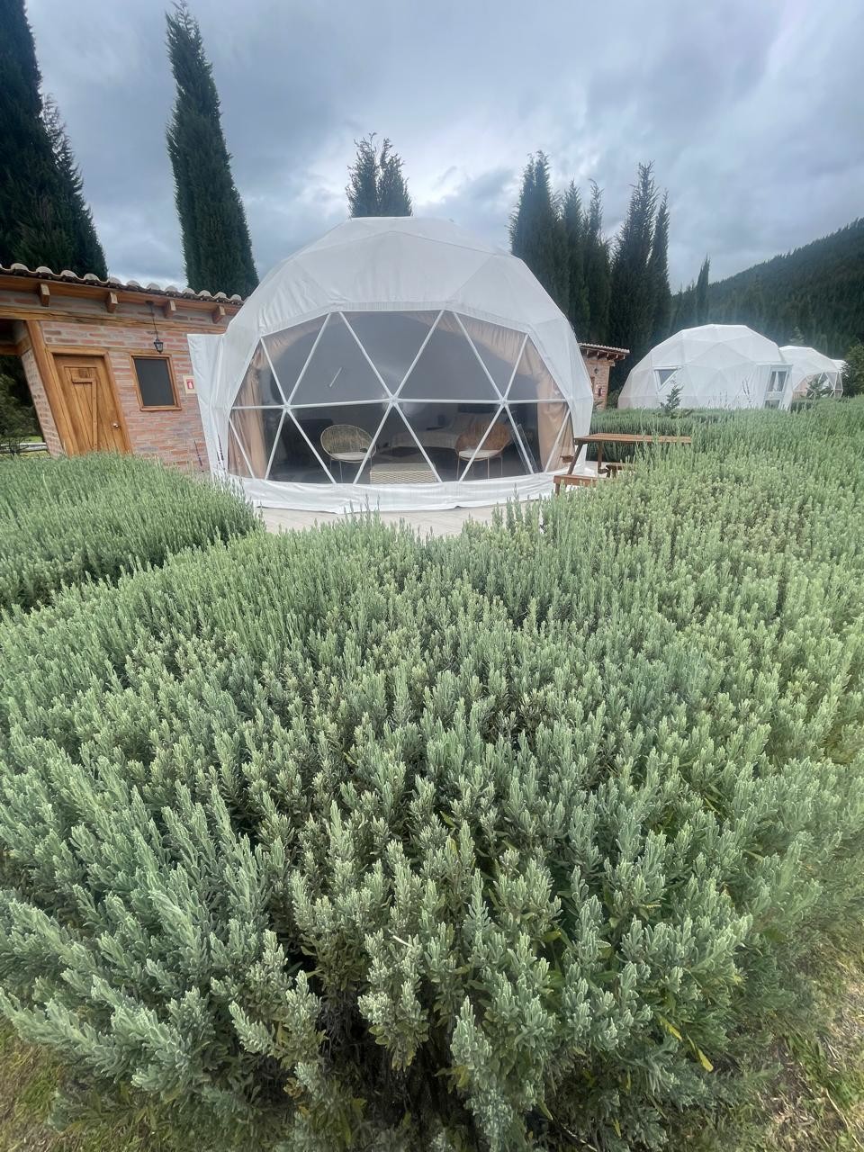 Domo Glamping 5